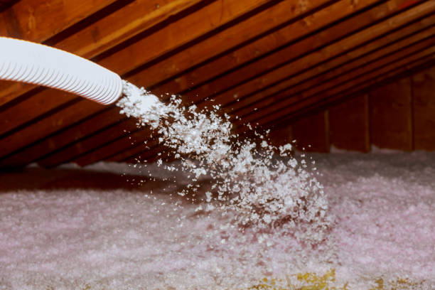 Best Energy Efficiency Insulation in Altamonte Springs, FL