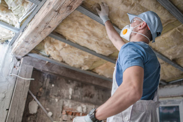Best Eco-Friendly Insulation in Altamonte Springs, FL