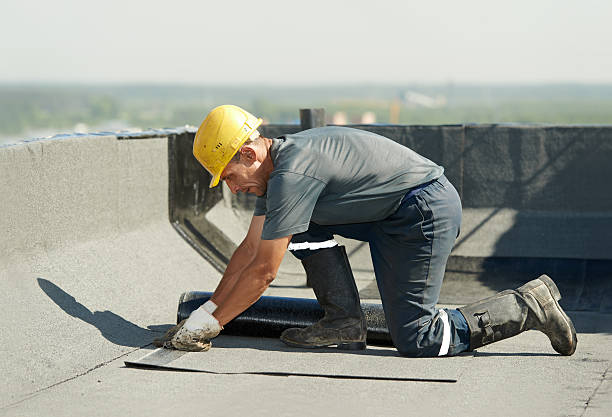 Types of Insulation We Offer in Altamonte Springs, FL