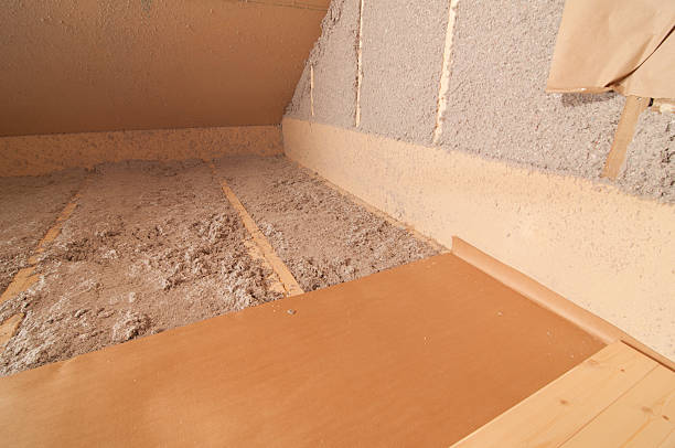 Best Blown-in Insulation in Altamonte Springs, FL